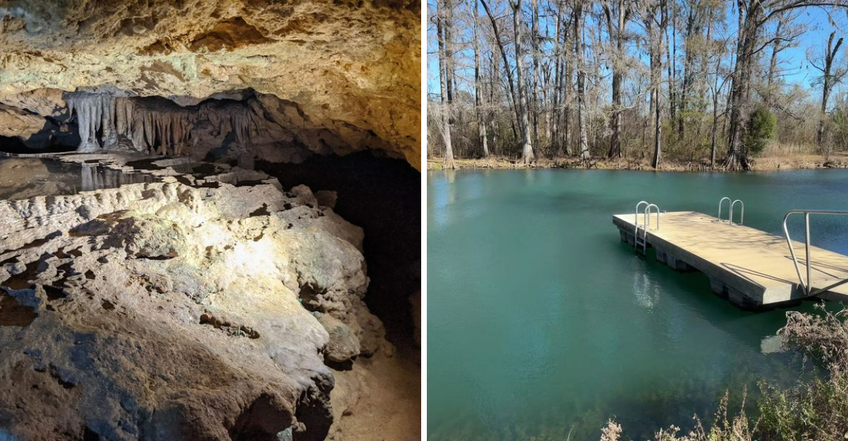 Beneath This Beloved Florida State Park Lies A Remarkable Underground Wonder - Decor Hint