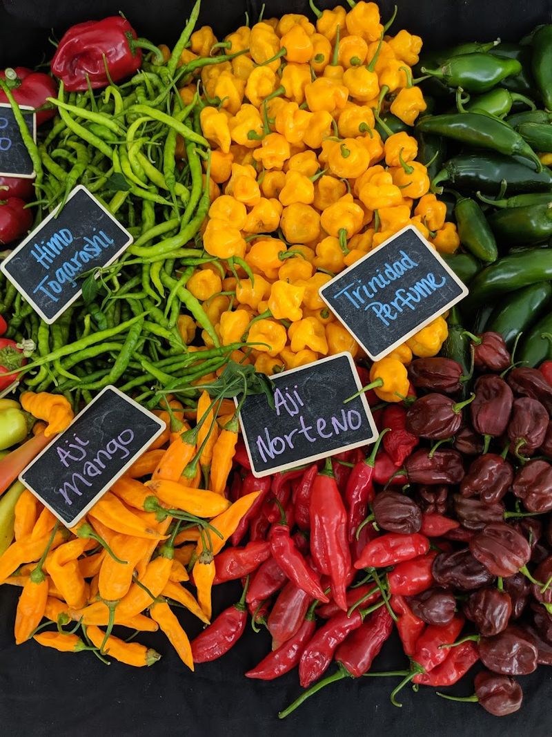 Covington Farmers Market