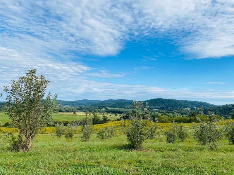 Hartland Orchard