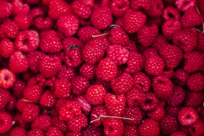 Raspberries Take Over In Mid-July