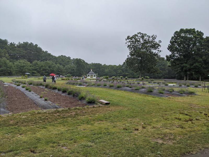 A Pretty Stop For Garden Lovers
