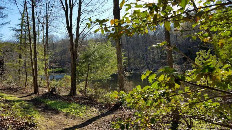 These Peaceful Connecticut Loop Trails Feel Like A Hidden Woodland Escape - Decor Hint Blue-Blazed Paths Make It Simple