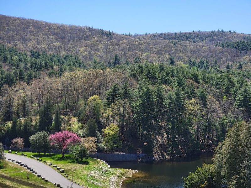 Pleasant Valley Feels Peaceful And Wooded