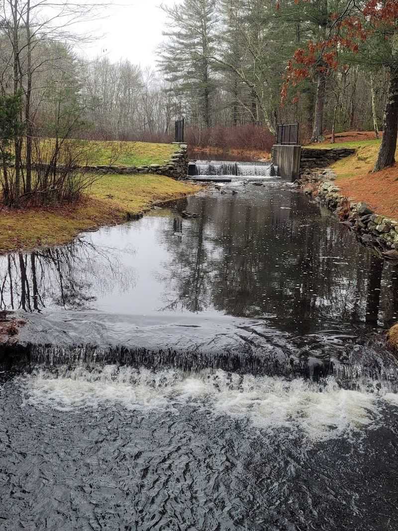 Green Falls Adds The Magic