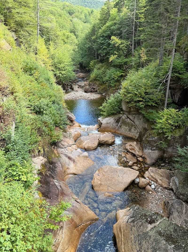 The New Hampshire Boardwalk That Takes You Deep Inside The Mountains - Decor Hint Wildlife You Might Spot