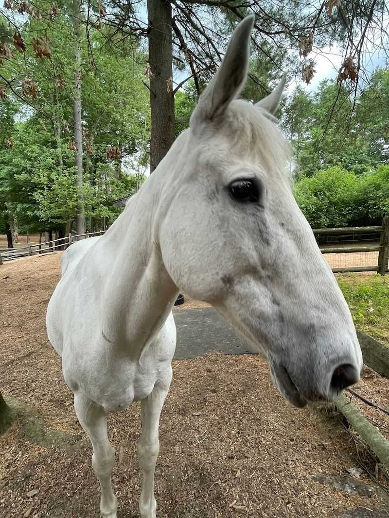 Practical Tips Before You Go