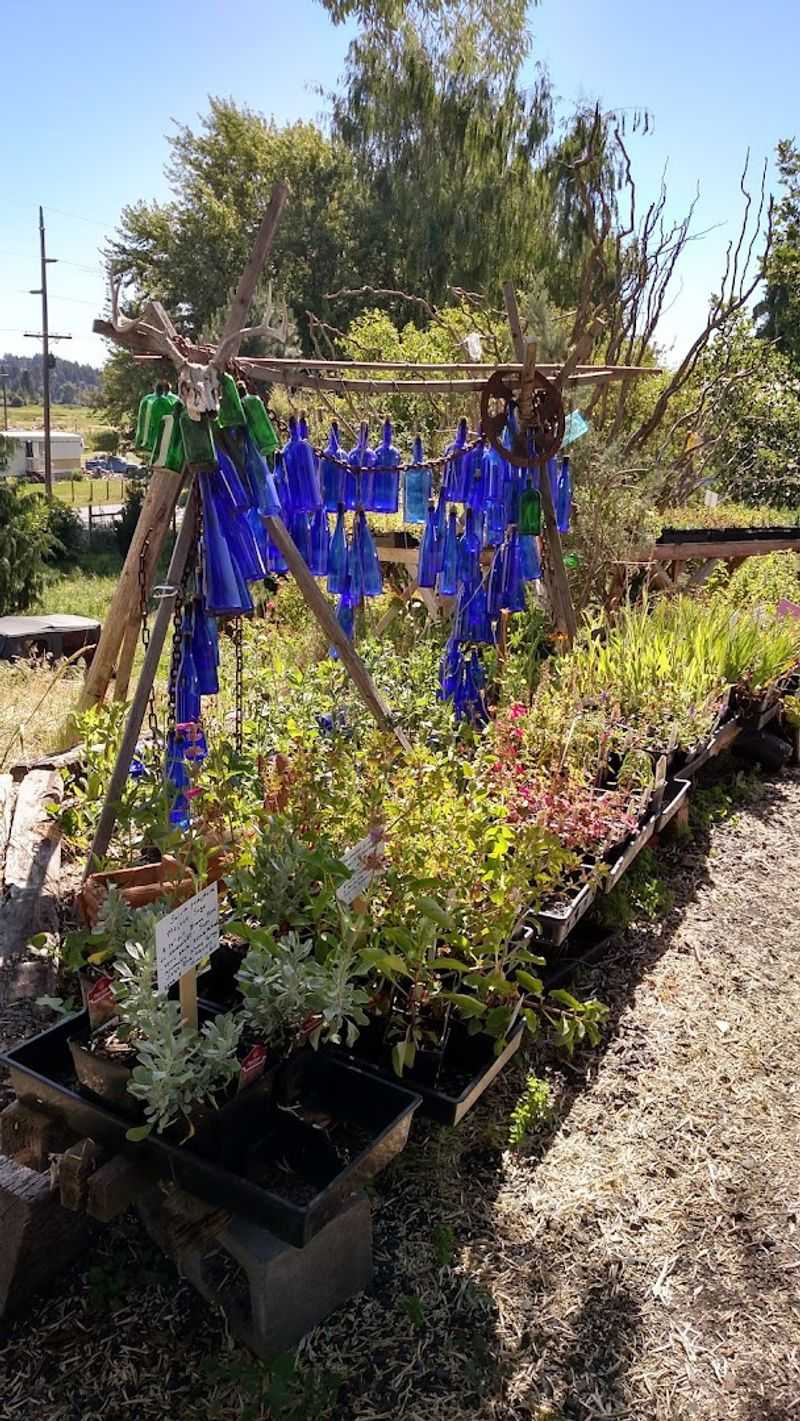 Why Plant Lovers Keep Returning
