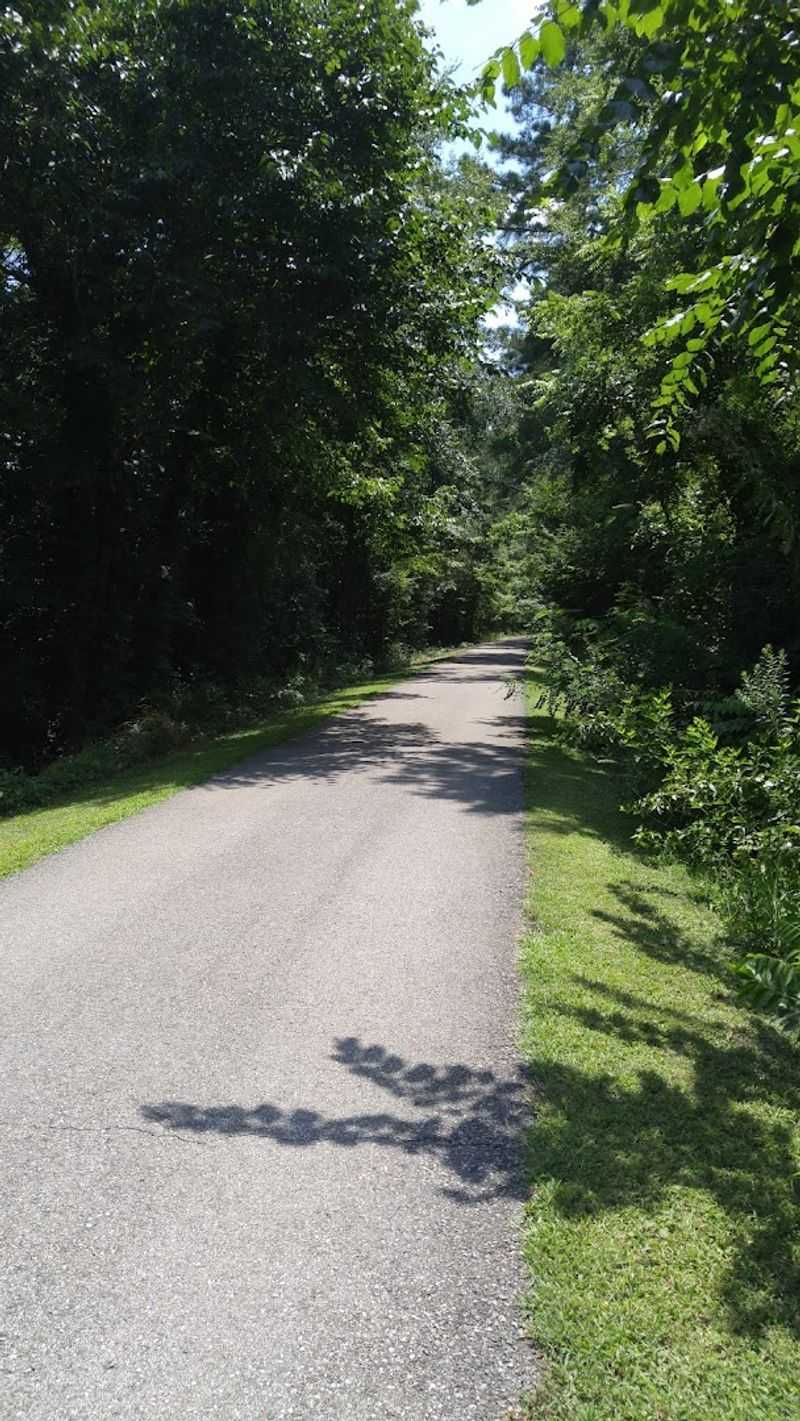 How To Plan Your Chief Ladiga Trail Adventure