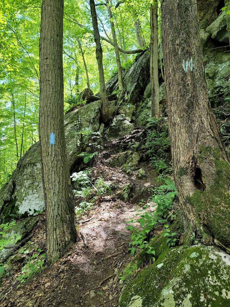 Rocky Terrain That Keeps The Adventure Interesting