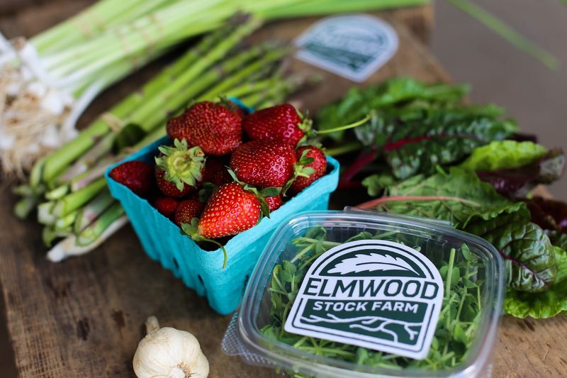 Elmwood Stock Farm