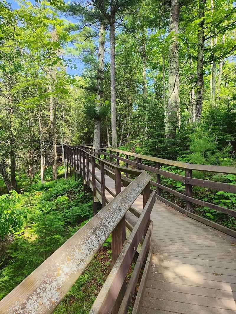 This Scenic 2-Mile Hike In Wisconsin Takes You Past Beautiful Caves And A Hidden Waterfall - Decor Hint The Boardwalk Trail Through The Wetlands