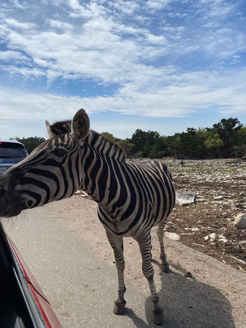 Natural Bridge Wildlife Ranch, San Antonio