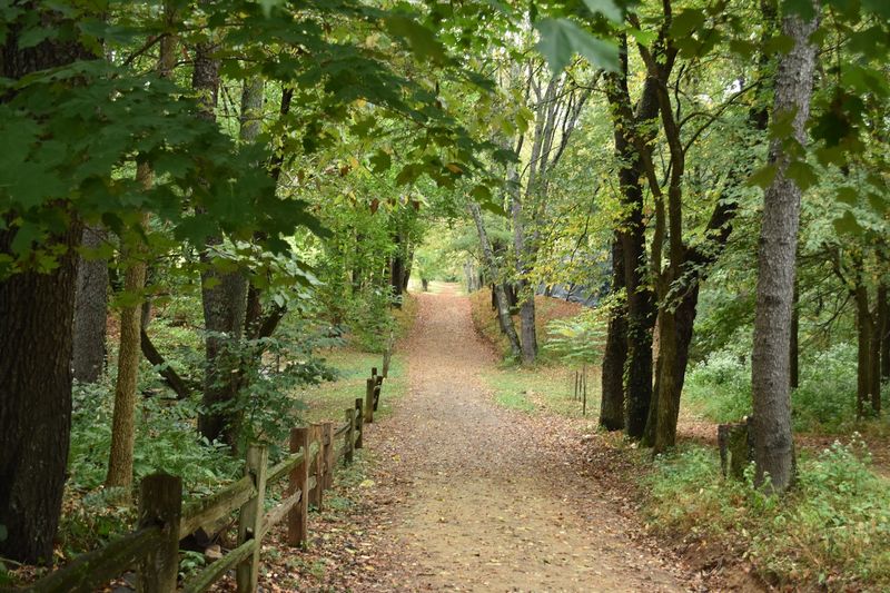 These 14 Kentucky Birdwatching Destinations Feel Like Hidden Front-Row Seats To Nature - Decor Hint Creasey Mahan Nature Preserve