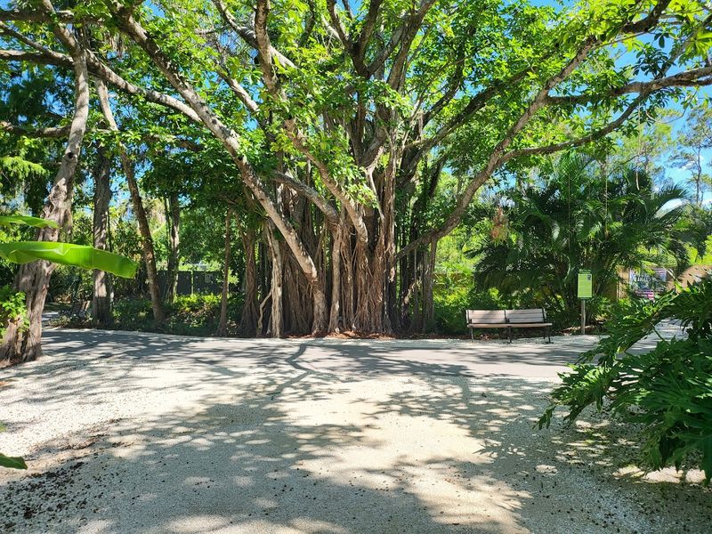 Naples Zoo At Caribbean Gardens