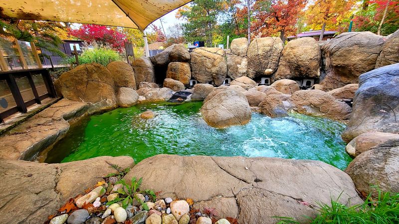 This Hidden Zoo In Michigan Is The Family Day Trip Most People Don't Know About - Decor Hint Michigan's First Sensory-Inclusive Zoo Experience