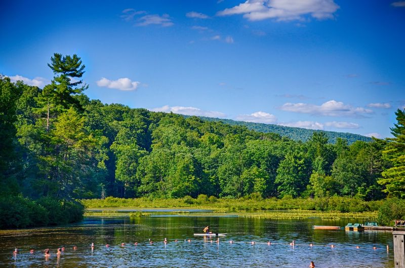 These 9 Pennsylvania Escapes Make Packing Lunch Feel Like A Great Idea - Decor Hint Whipple Dam State Park, Petersburg