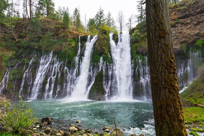 Shasta Cascade As Pacific Northwest Energy In Northern California