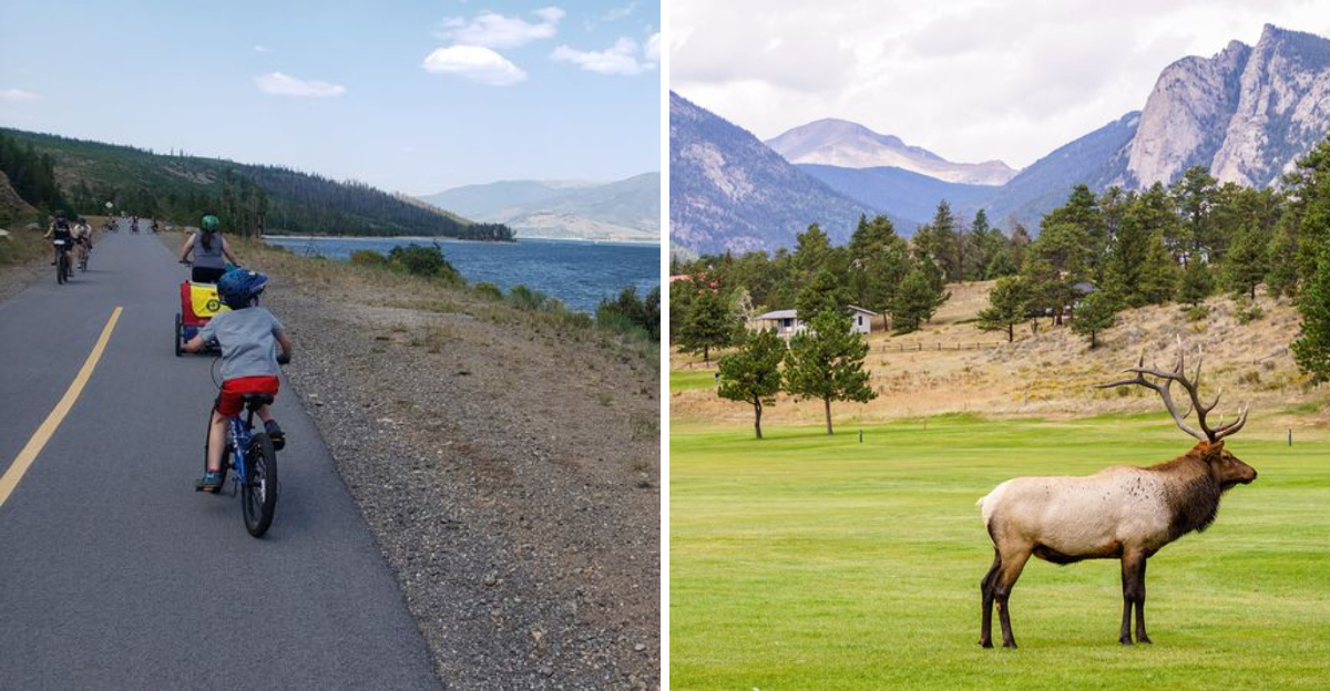 Big Views And Wild Scenery Await On These 10 Colorado Bike Trails - Decor Hint