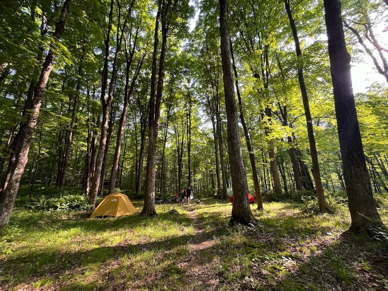 Rustic Campsites For A Deeper Getaway
