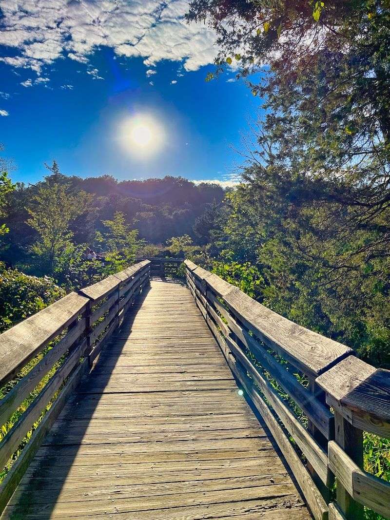Olmsted Island Boardwalk To Great Falls Overlook, C&O Canal, Potomac
