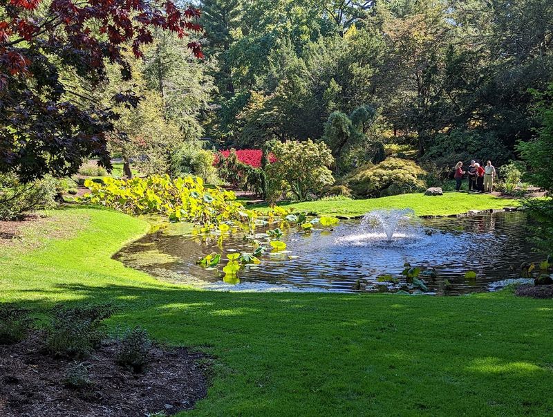 10 Connecticut Picnic Spots With Scenery That Feels Low-Key Stunning - Decor Hint Wickham Park, Manchester