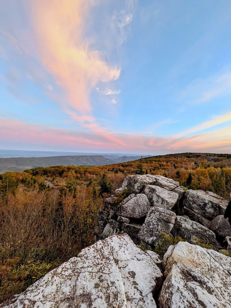 Dolly Sods Wilderness
