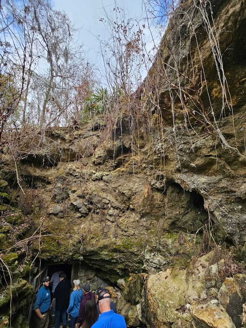 Beneath This Beloved Florida State Park Lies A Remarkable Underground Wonder - Decor Hint Camping Under The Stars At Florida Caverns State Park