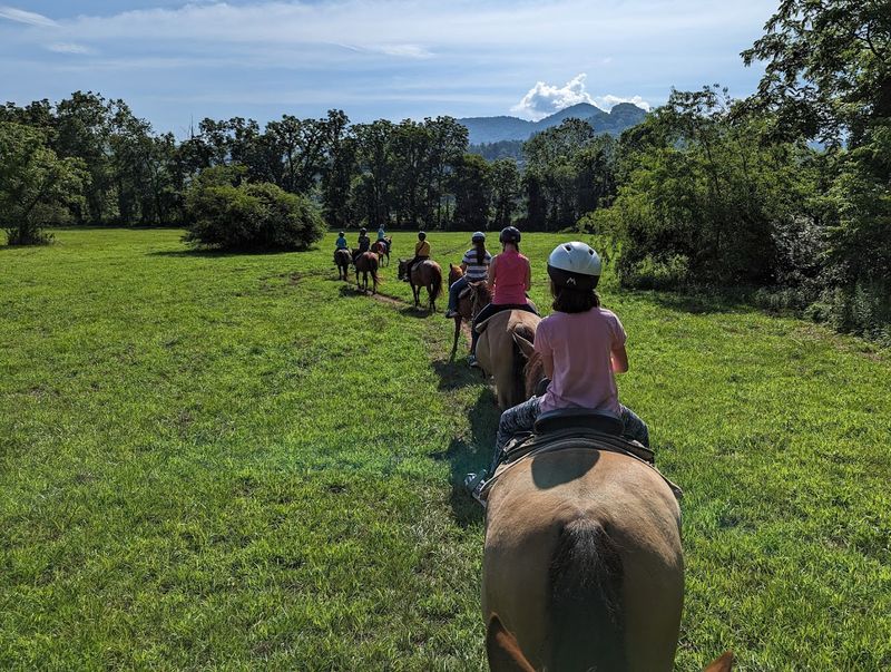 13 Family-Friendly Horseback Riding Ranches Across Georgia That Make A Weekend Feel More Adventurous - Decor Hint Dillard House Stables