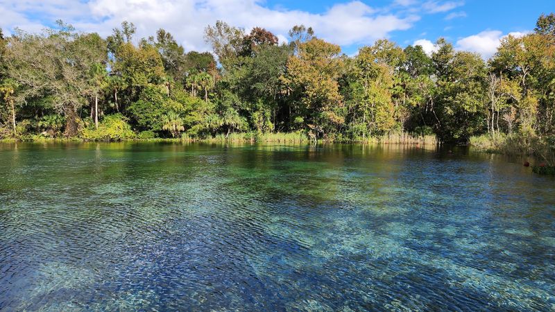 Alexander Springs Recreation Area, Altoona