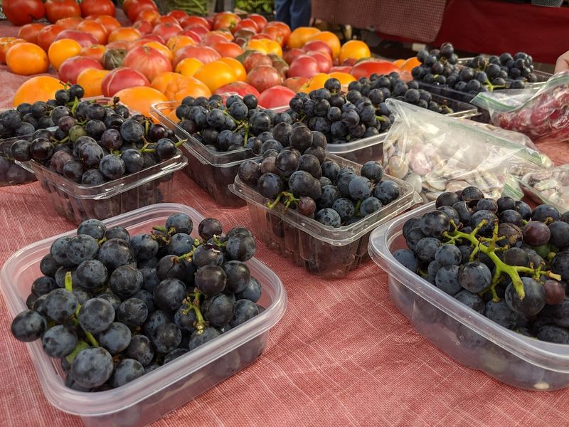 St Matthews Farmers Market