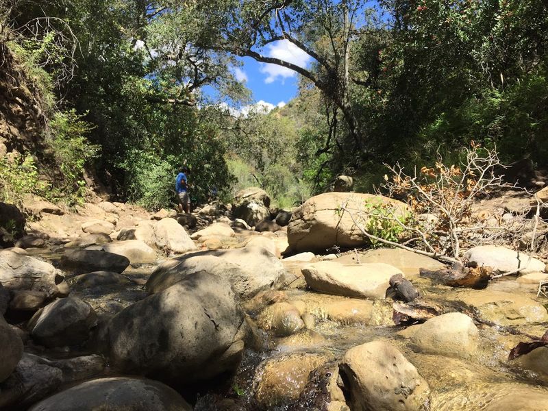 Black Star Canyon, Silverado, Orange County