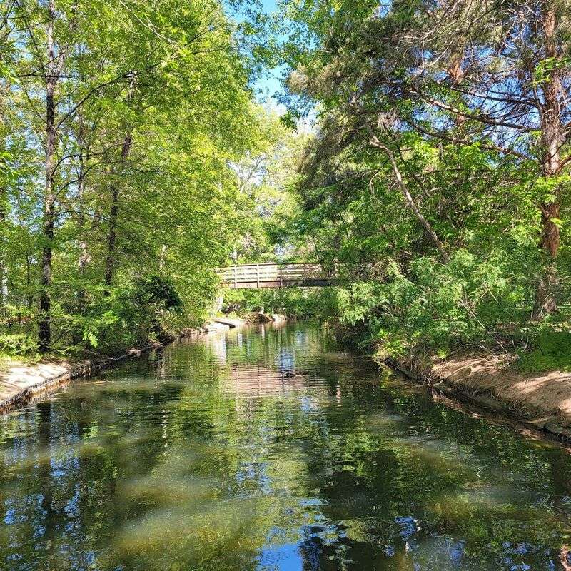 The Lagoon Adds A Classic Picnic-And-Paddleboat Feeling
