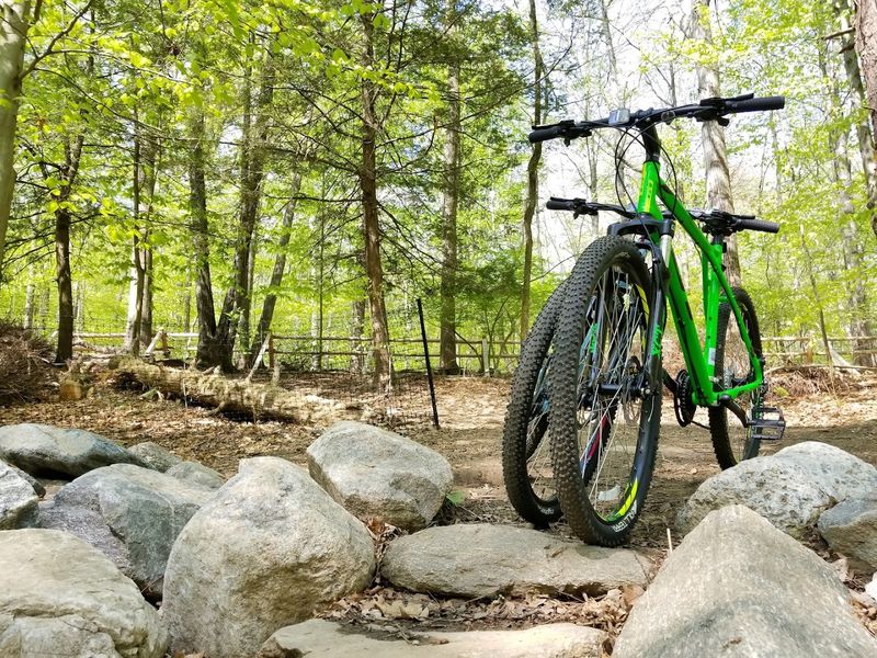 Mianus River Park Trails