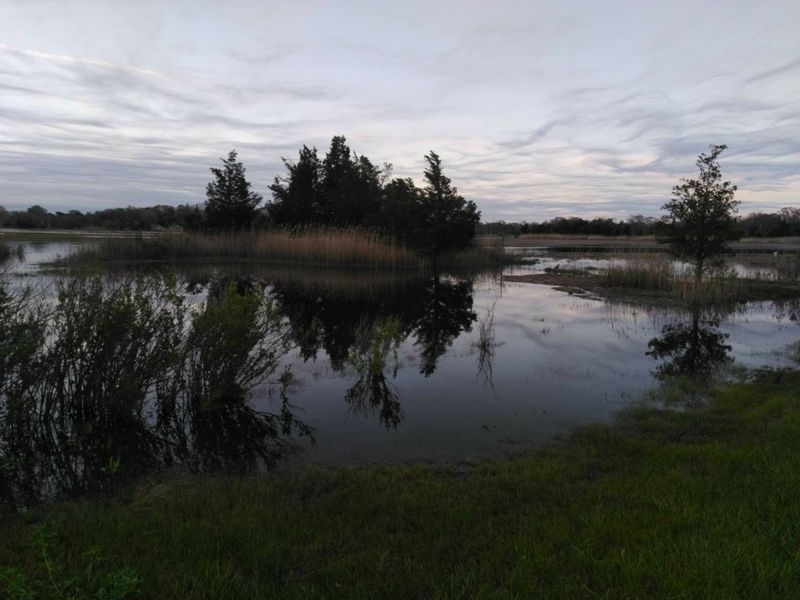 Delaware Bayshore Byway (Route 9)