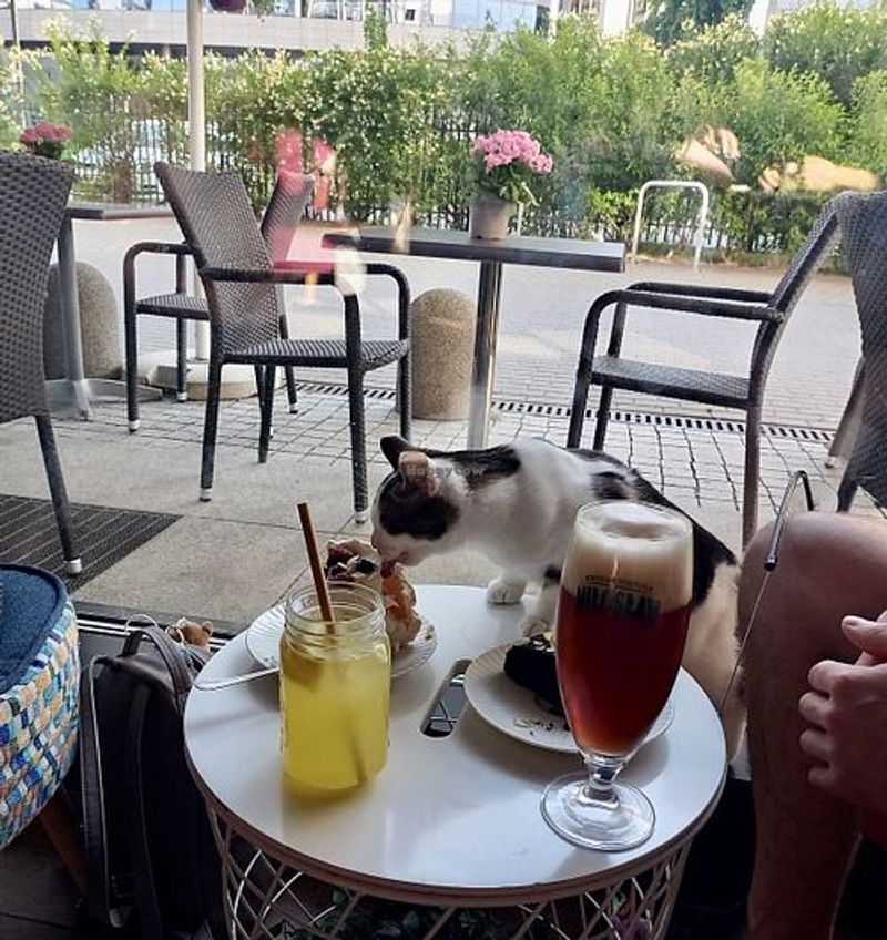 The Cafe Side Of Things Is Worth Talking About