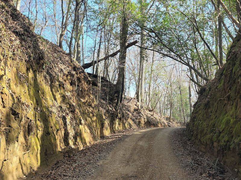 Tunica Trace Byway, St. Francisville