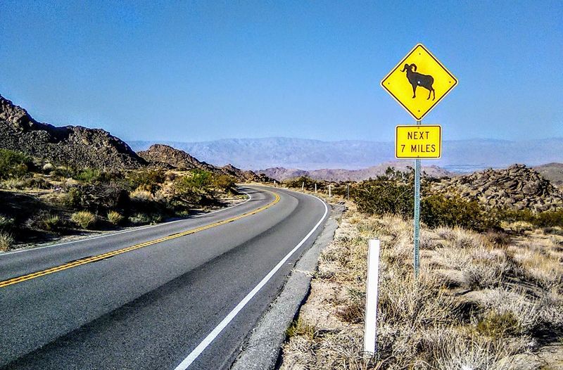 Ortega Highway Makes The Drive Part Of The Experience