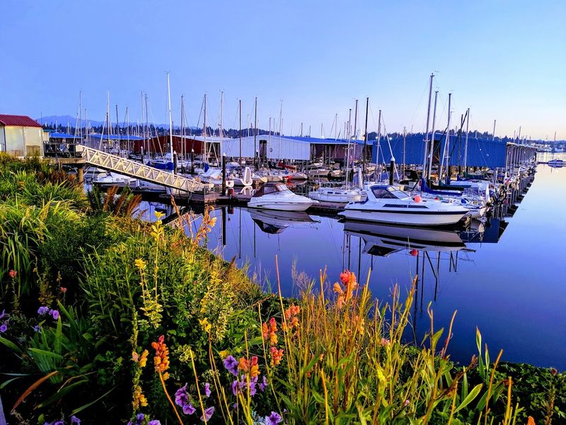 Port Orchard Via Bremerton–Port Orchard Foot Ferry