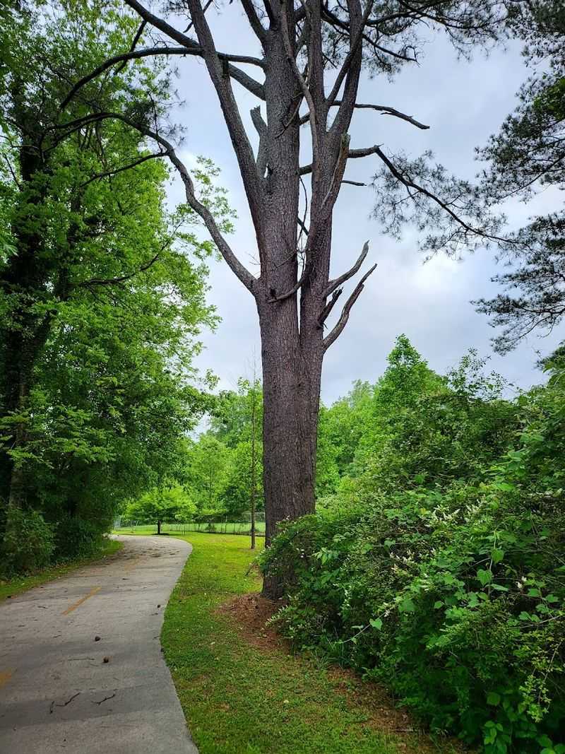Surprising Quiet In The Middle Of The City