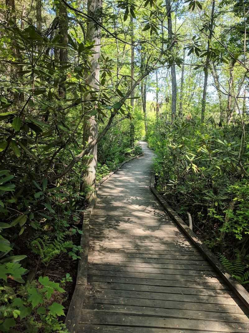 A Wild Corner Of Eastern Part Of The State