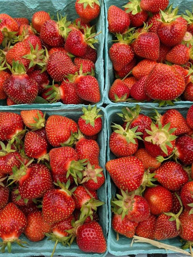 What To Do With All Those Berries When You Get Home