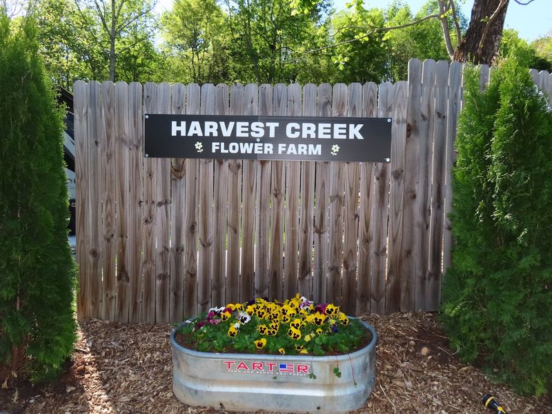 Harvest Creek Flower Farm