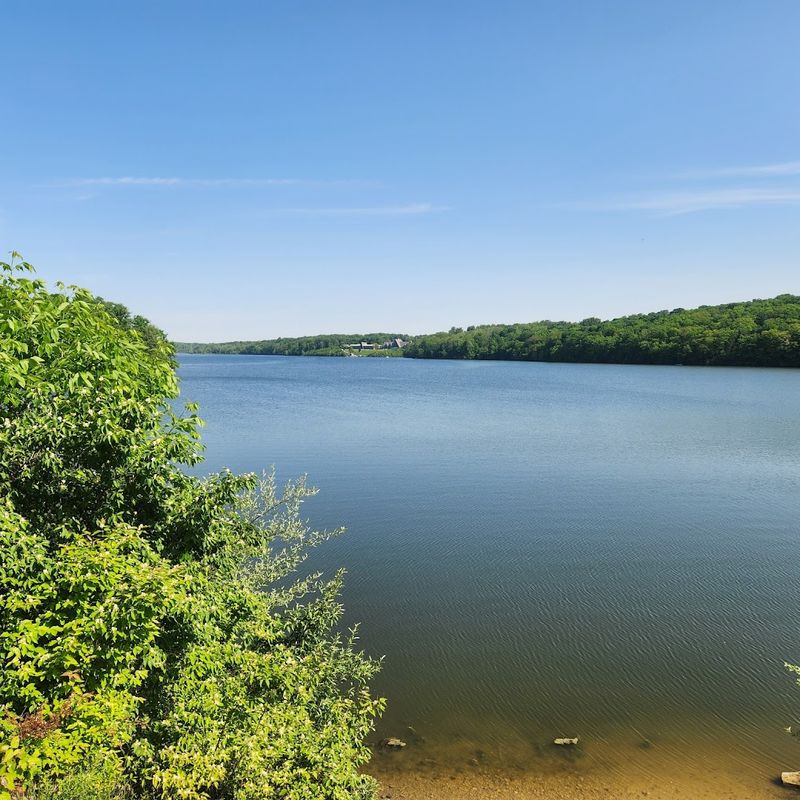 Hueston Woods State Park