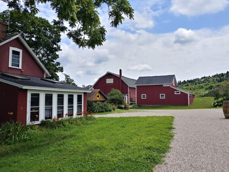 Jones Family Farms, Shelton 