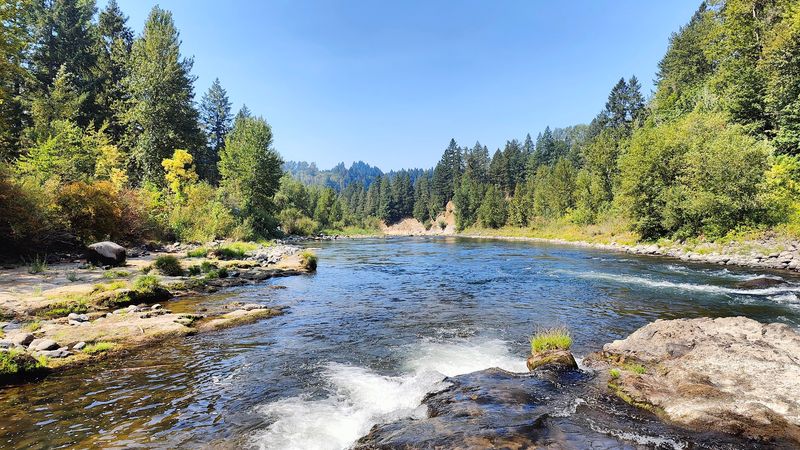 These 17 Family Adventures Make Oregon's State Parks Even More Fun - Decor Hint Milo McIver State Park