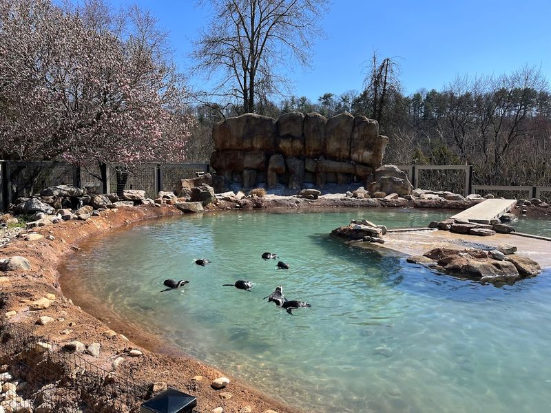 These 10 Pennsylvania Outings Prove A Weekend Does Not Have To Be Dull - Decor Hint Lehigh Valley Zoo