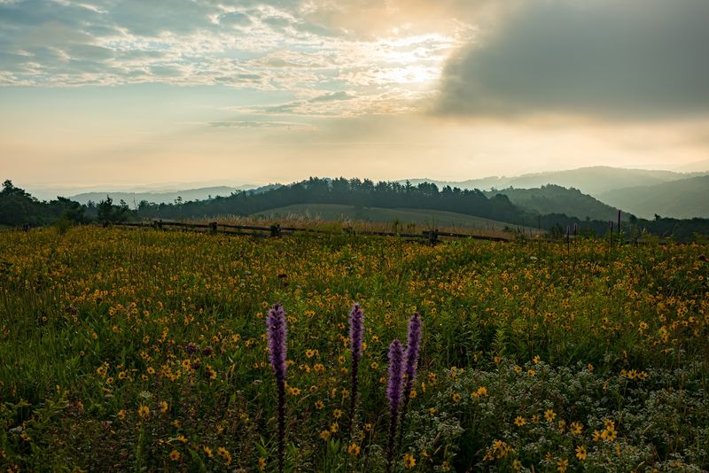 This Parkway Stop Turns A Quick Pull-Off Into A Summer Memory