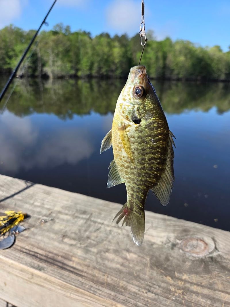 Wildlife That Keeps You Watching