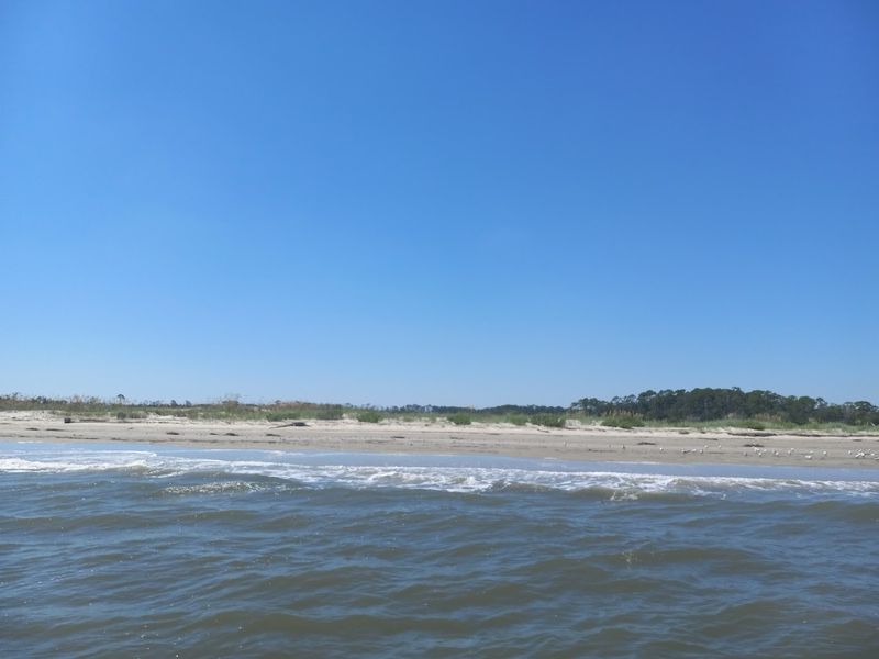 Wassaw Island Beach
