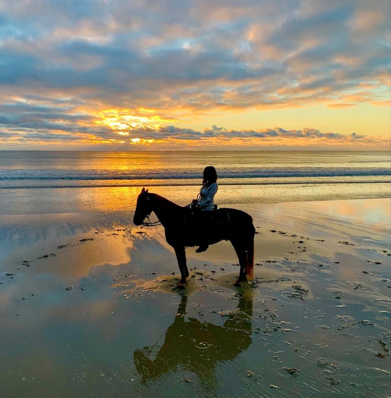 Amelia Island Horseback Riding, Fernandina Beach